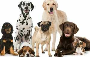 Entrainement EDUCATION