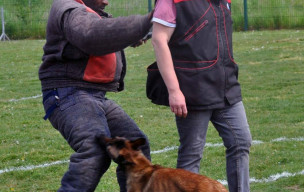 Concours Ring Villeparisis le 2 mai 26