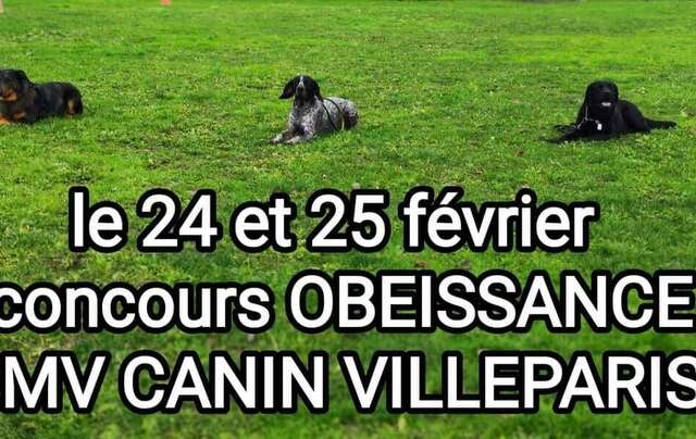 CONCOURS OBEISSANCE 2024